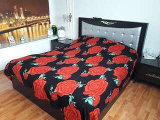 Апартаменты AZADLIG Street 3 Баку Апартаменты с балконом-79